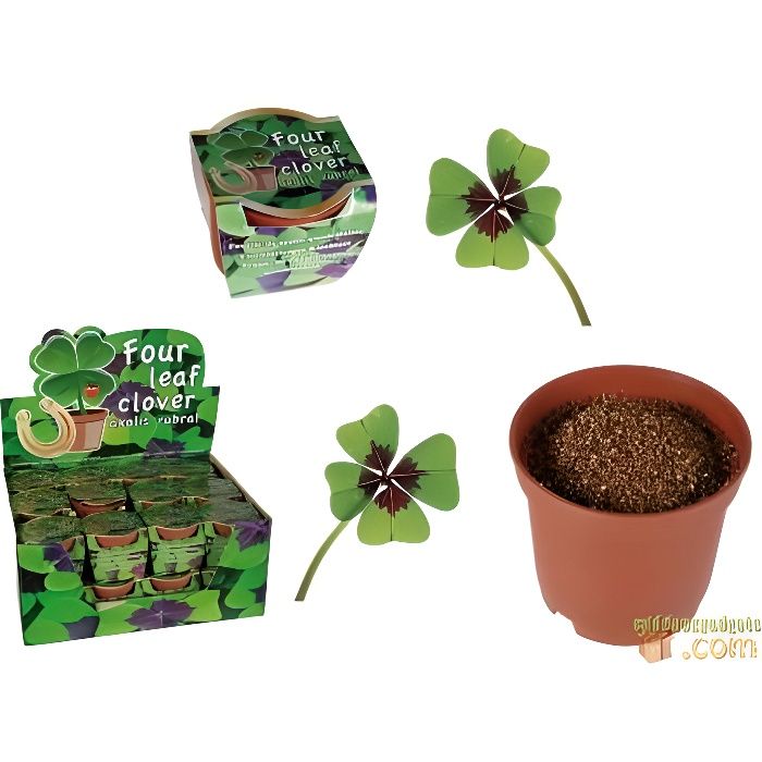 Pot De Fleur Trefles A 4 Feuilles Porte Bonheur Achat Vente Jardiniere Bac A Fleur Pot De Fleur Trefles A 4 Fe Cdiscount