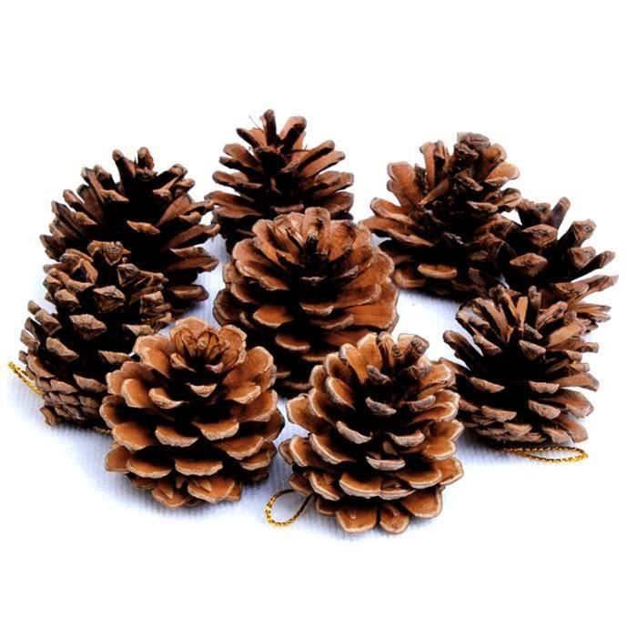 45Pcs Pommes De Pin Naturelle Décoration De Noël Suspensions