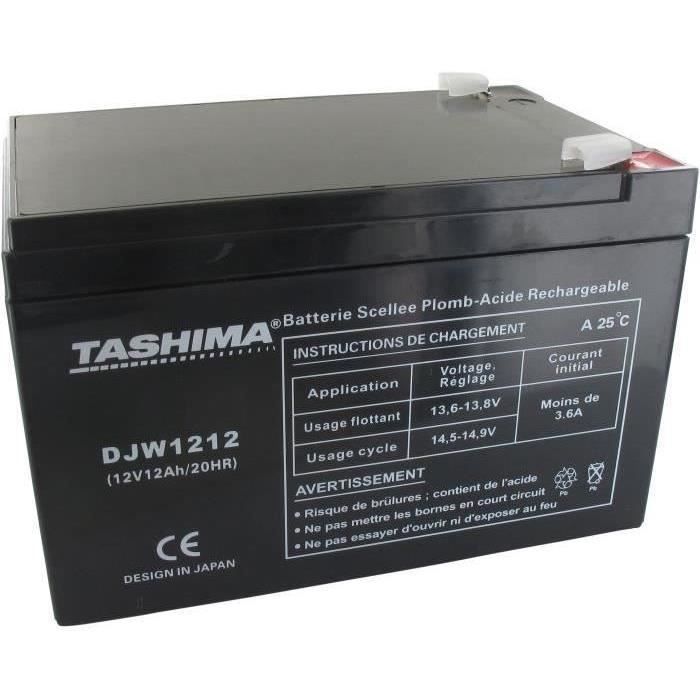 Batterie TASHIMA 12V, 12A adaptable pour AL-KO