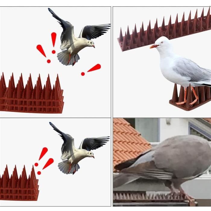Pointes d'oiseaux Clous Anti-Oiseaux Répulsifs pour Oiseaux Fileurs  Anti-Oiseaux en Métal Pointes d'oiseaux en Acier Inoxydable pour Oiseaux  Pigeons