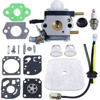 C1U-K54A Carburateur et Kit Réparation Bougie Tuyau Filtre à Air pour Motobineuse Echo Mantis TC-210 TC-210i TC-2100 SV-6 SV-5H/2