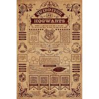 Harry Potter Quidditch at Hogwarts Poster multicolore