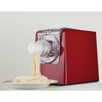 Sirge MAGICPASTA Machine pour pâtes 300 Watt - 22 Dies - jusqu'à 650 gr Machine pâtes automatique pour faire des pâtes fraîches à la