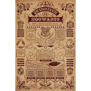 AFFICHE - POSTER Harry Potter Quidditch at Hogwarts Poster multicol