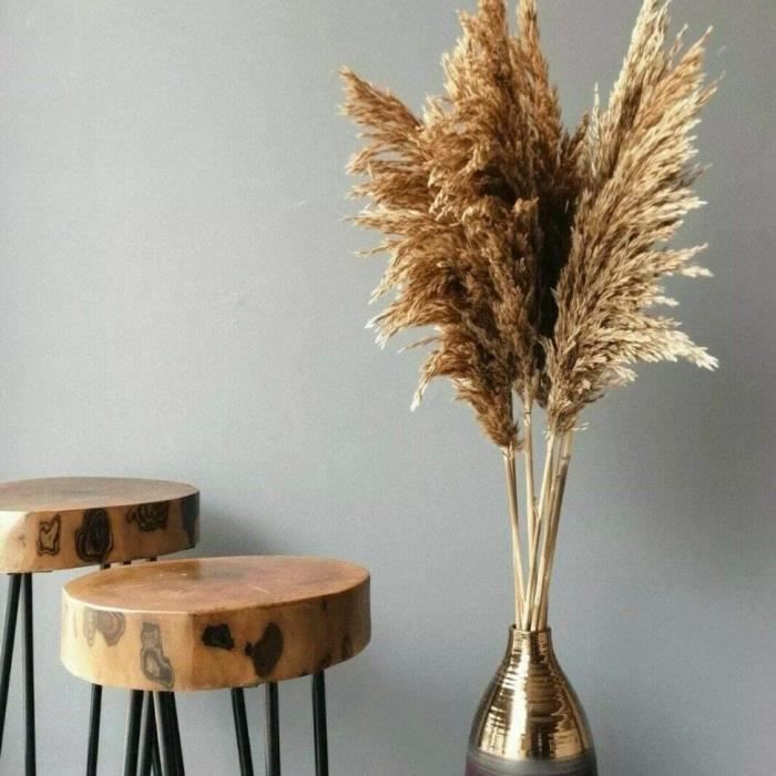 VASE - SOLIFLORE 10 x herbes de pampa naturelles séchées pour décoration d'intérieur - 100 cm1255