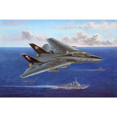 F-14B Tomcat