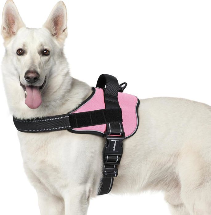 Meilleurs prix pour Harnais Chien Harnais Anti Traction pour Chien Réfléchissant Réglable Respirant Facile à Mettre avec Poignée Contrôle Rose XL