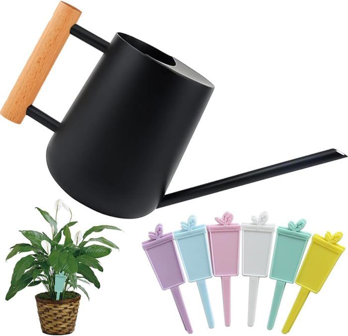Arrosoir Design 1200ML Pour Plantes D'Intérieur - Bec Long Inox Et Poignée Ergonomique