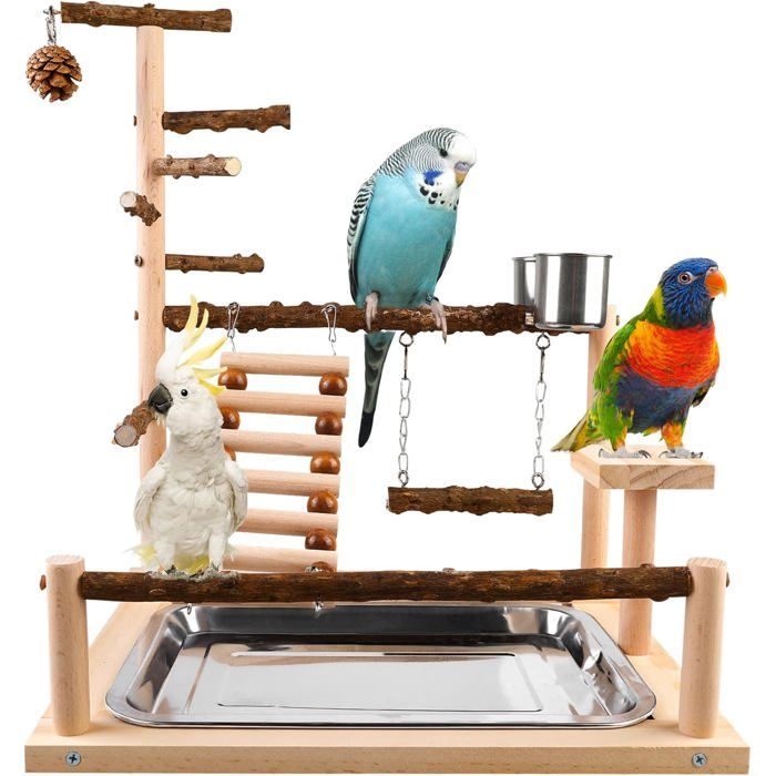 Aire de Jeux pour Perroquets (45x37x26 cm) avec Mangeoire et Plateau Support dActivité .