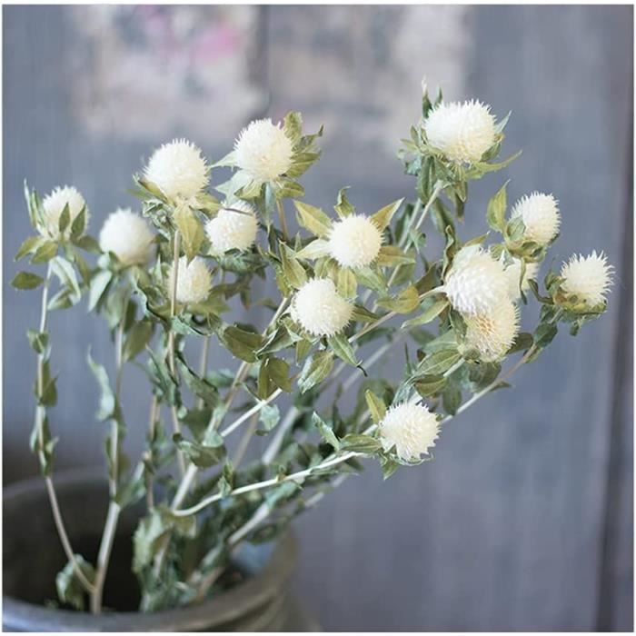 Bouquet De Fleurs Séchées, Plante Artificielle Naturelle Et Décoration Bouquet De Fleurs Séchées, Plante Artificielle Naturelle Et Décoration