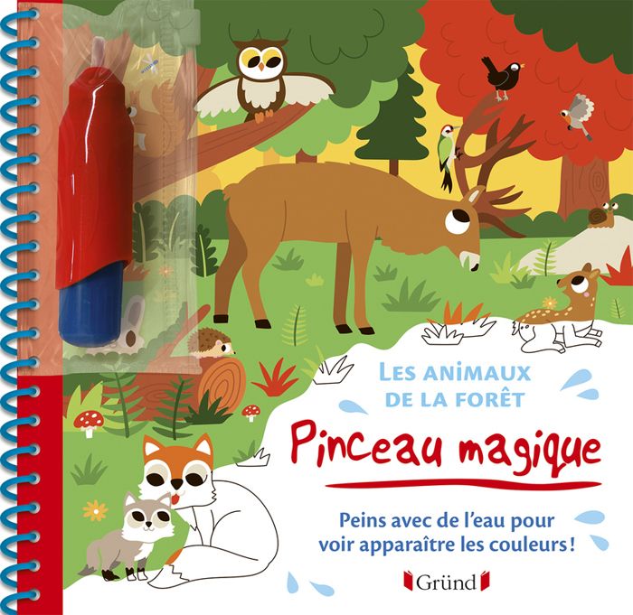 Pinceau magique : Les animaux de la forêt – Livre Coloriage magique à l'eau  avec un pinceau – À partir de 3 ans