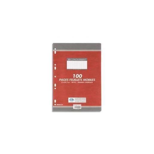 Feuillets Mobiles Hamelin 100 Pages - Format A4 (21x29,7 Cm) - Grands Carreaux - Papier 70 G - Pour Classeurs - 2