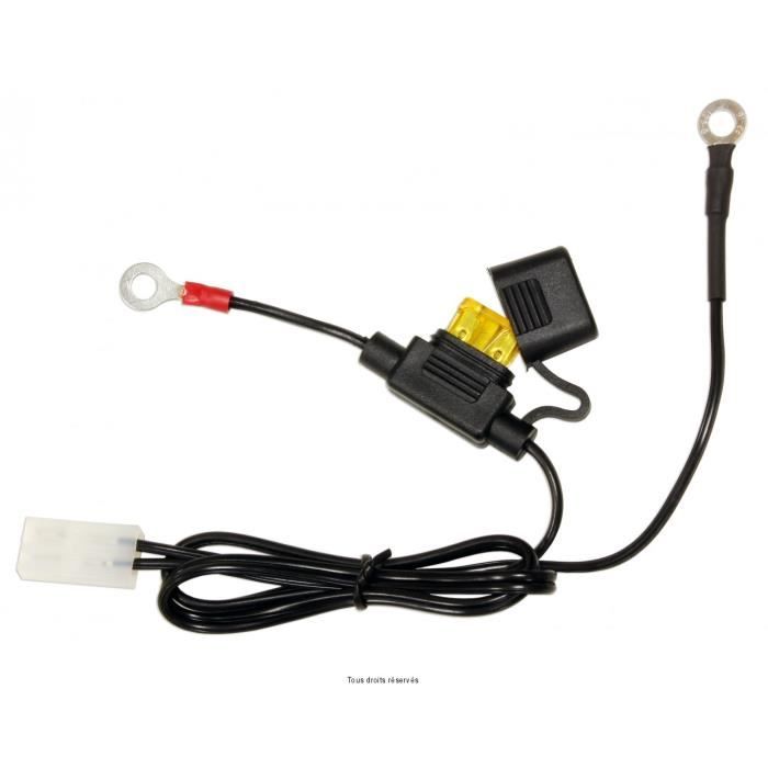 Câble permanent avec fusible pour chargeur de batterie ACCUGARD-900 moto