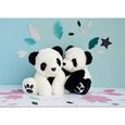 Peluche Panda Moyenne - HISTOIRE D'OURS - Plush - Multicolore - 20x26x25cm - Pour Bébé-2