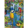 Puzzle 500 pièces Perroquets dans la forêt tropicale - Educa Collection Animaux Oiseaux-0