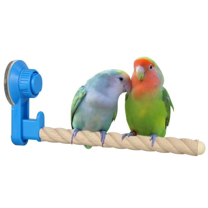 Perchoir Ventouse Oiseaux - Support Fenêtre Bain Voiture Pour Perroquet Perruche Calopsitte Dupcheliry