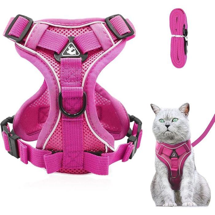 Harnais régble anti évasion pour chat avec isseharnais souple pour chatchatonchienchiotrosetaille XS Rose XS XS LAISSE