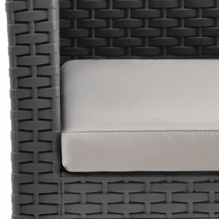 Chaise De Jardin Anthracite Avec Coussin - Fauteuil En PP Rotin Par VidaXL - Set Salon Extérieur