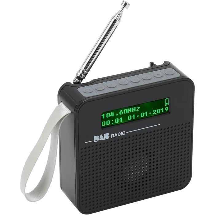 Radio Portable DabDab+Fm, Radio Fm Bluetooth Avec HautParleurs
