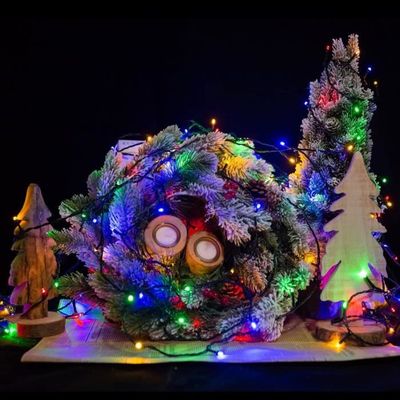 Tensiomètre Holter 24h CONTEC ABPM50 - Mesure Ambulatoire Pression Artérielle - Neuf