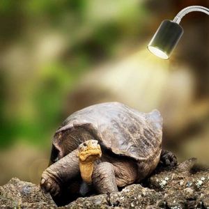 ÉCLAIRAGE Lampe Tortue Terrestre Chauffante Reptiles pour Aq