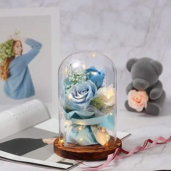 Rose Éternelle sous Cloche Lumière de Dôme en Verre avec Lumière LED et  Base, Cadeau pour Festival (Bleu) - Cdiscount Maison