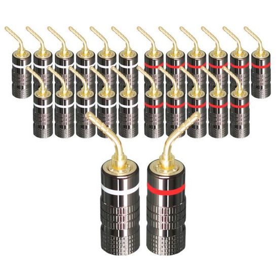 Viojrlly 12 PCS Prise De Haut-Parleur DIN 2 Broches Mâle Avec Bornes Vis - Connecteur HiFi Sans Soudure