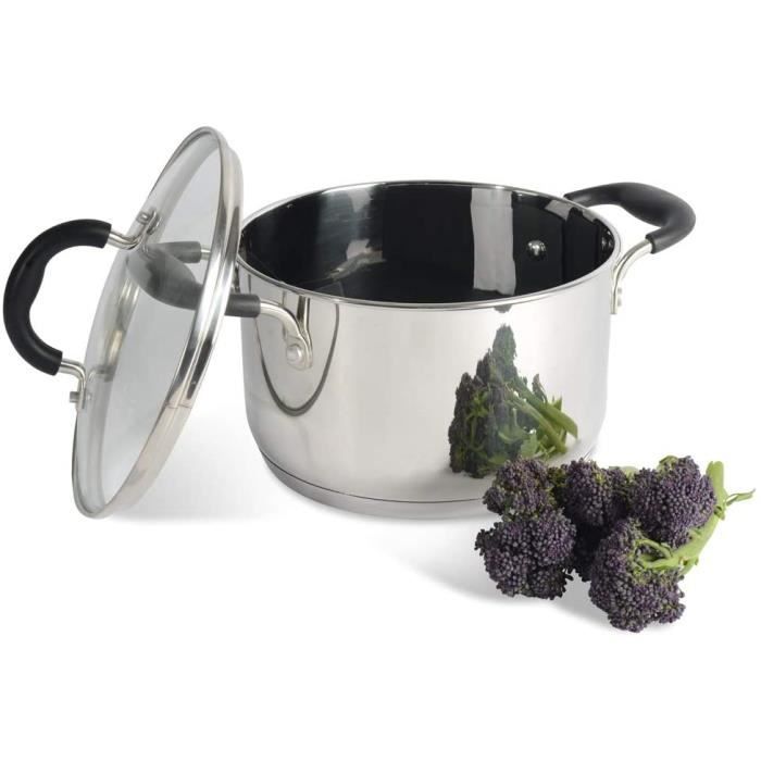 ProCook Gourmet Steel - Petite Marmite Induction Inox 18/10-20cm - 3,8L -Avec Couvercle Verre Trempé - Poignées & Manches Isolants S