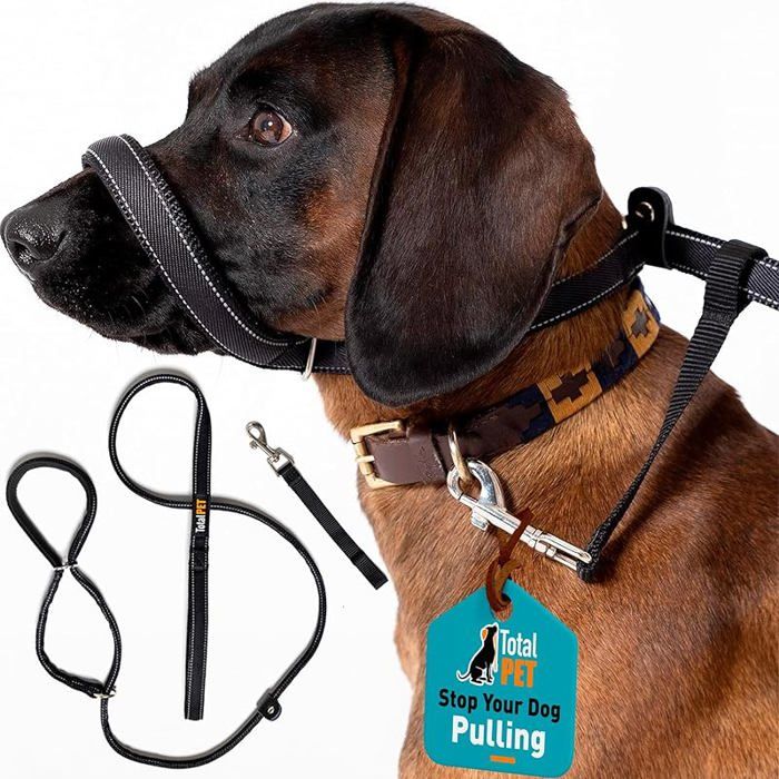 Lot de 8 laisses plates anti-traction pour chien - Réfléchissantes avec support de nez rembourré (180 cm) 180cm LAISSE