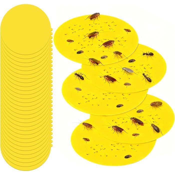 30 Pièges à Puces Autocollants - Disques adhésifs ronds Ø 18 cm - Facile à installer