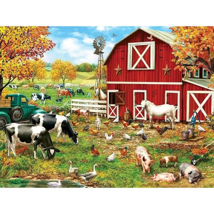 Ferme irlandaise Banque de photographies et d’images à haute résolution
