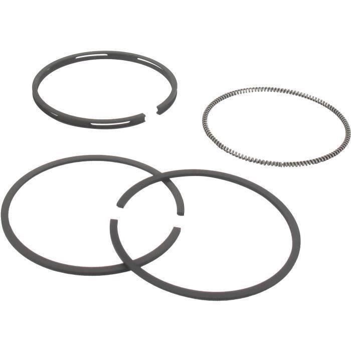 Segment BRIGGS ET STRATTON 493261 - 293261