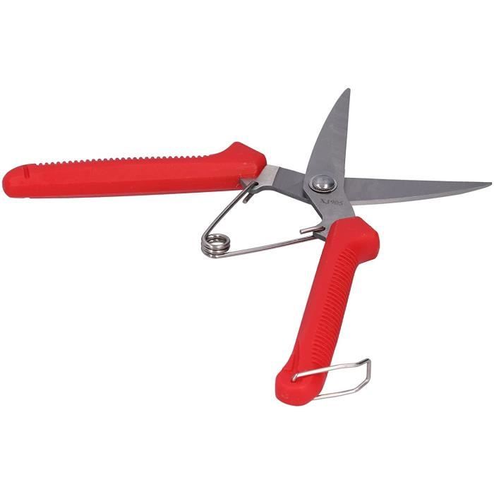 TOPINCN Cisailles à Sabots, Coupe-Sabots De ChèVre Pinces à Trotteur De Cochon Pinces à Ongles D'orteils D'animaux Outil De RéParation Pour ChèVres Moutons Cochon (Rouge