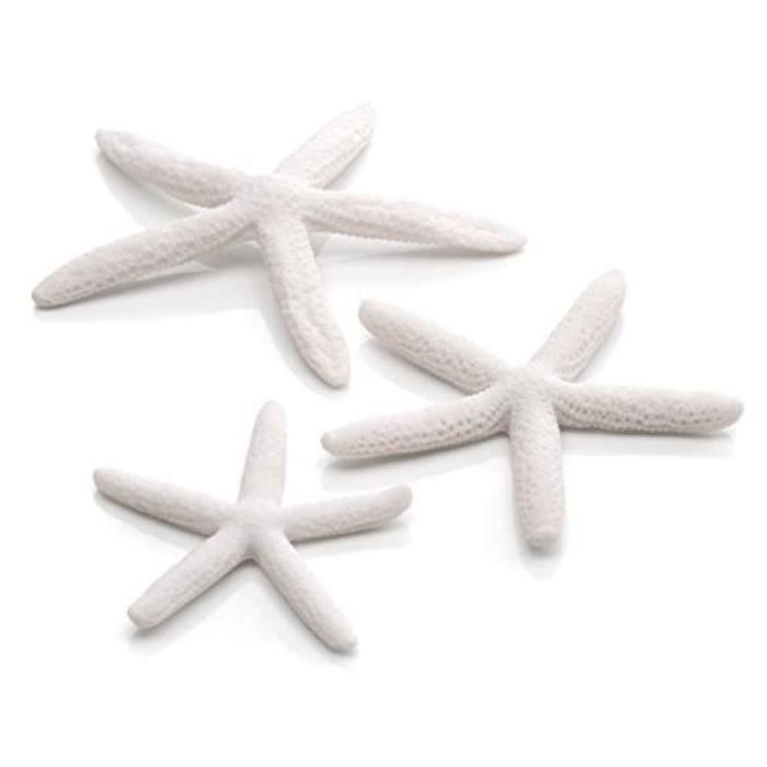 Oase Lot de Décor Étoiles de Mer Blanc pour Aquarium BiOrb x3 Cdiscount Animalerie