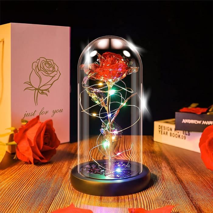 Rose La Belle Et La Bête, Rose éternelle Dans Un Dôme En Verre, Cadeau