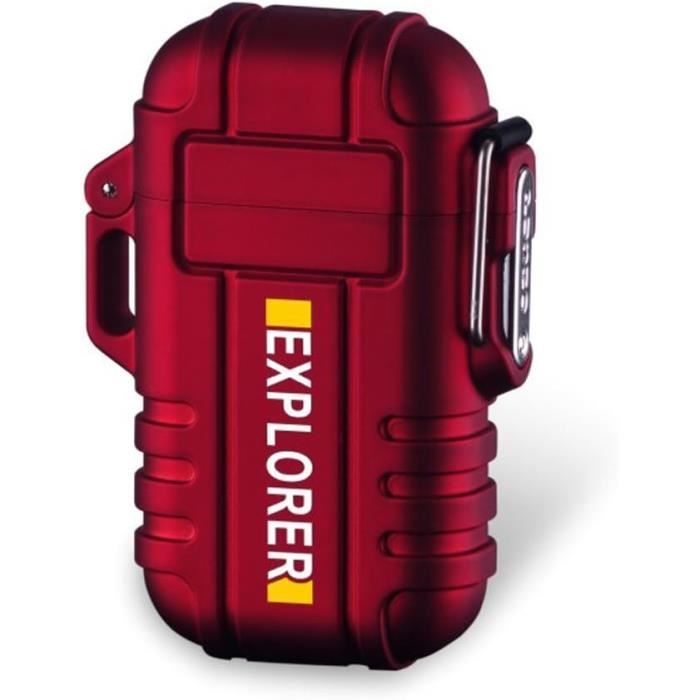 Briquet électronique Arc Plasma Rechargeable USB-C - Gravure Personnalisable, Motifs Animaliers, Coupe-vent, écran LED - 4