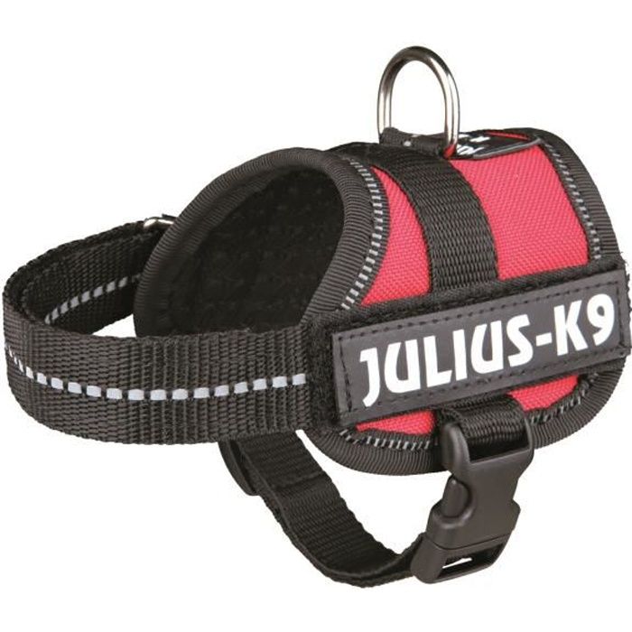 Laisse pour chien LCC® Taille XS Convient aux petits chiens Confortable et résistant