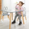 ROBA Ensemble Table + 2 Chaises Enfants - miffy® - Motif Lapin - Table de Jeu et d'Apprentissage - Gris / Blanc-1