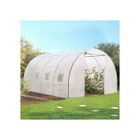 IDMARKET Serre tunnel de jardin 12M² blanche gamme maraîchère ZEBRA 4x3M
