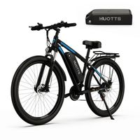 Vélo Électrique Duotts C29 Double Batterie - Moteur 750W Batterie 720WH - Noir