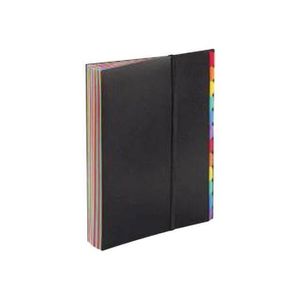 TRIEUR SEAT CASE 24 POSITIONSRAINBOW CLASS EN POLYPROPYLENE