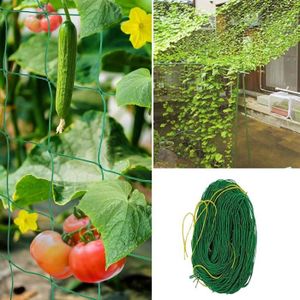 Grande largeur de maille Pour tomates 90 x 90 cm concombres haricots Treillis avec crochets en acier plantes grimpantes Zelsius Filet élastique pour plantes