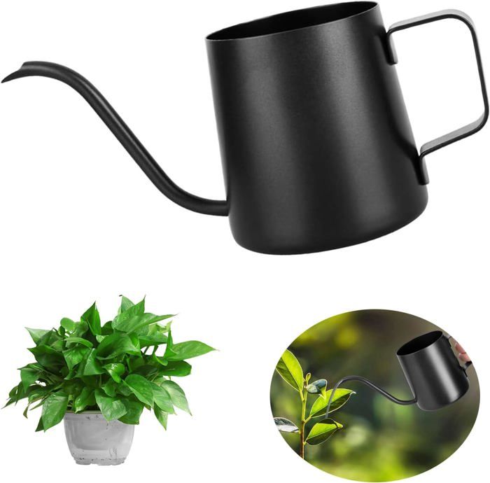 Danolt Arrosoir En Acier Inoxydable 400 ML Long Bec Pot D’Arrosage Mini