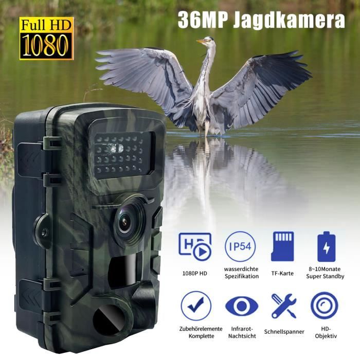 Digitgarden Caéra de Chasse,32P 1296P FHD Vidéo IP66 Étanche,Caéra de Surveillance avec 42Pcs