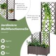 COSTWAY Jardinière avec Treillis 80x40x135 cm Auto-arrosage Plastique Style Rotin Trou de Drainage pour Plantes Grimpantes, Légumes-1