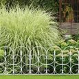 Relaxdays Bordure de jardin plastique, Clôture gazon 30 cm, 6 éléments, 4 m, parterre massif pelouse, piquet - 4052025938673-1