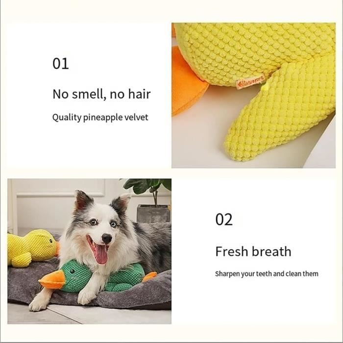 Light Green-3M -Laisse rétractable pour chien, 3M-5M, accessoire
