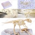TD® Tyrannosaurus jouet dinosaure enfant jurassic world anniversaire Rex fouille archéologiques assemblage création puzzle-2