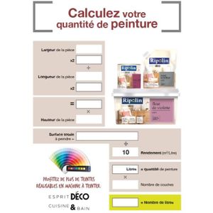 Peinture Renovation Achat Vente Peinture Renovation Pas Cher Cdiscount