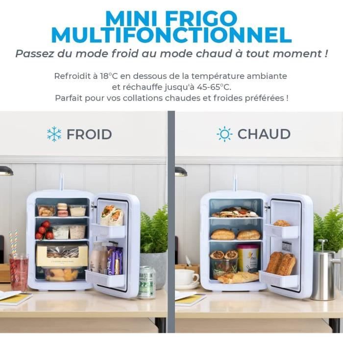 Flamingueo Mini Frigo - Réfrigérateur 10L, Petit Frigo 12V/220V